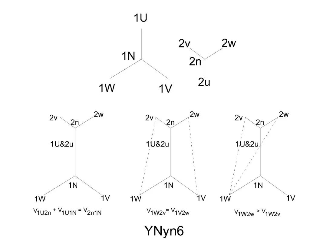 YNyn6 Vector group test YNyn6 vector group test
